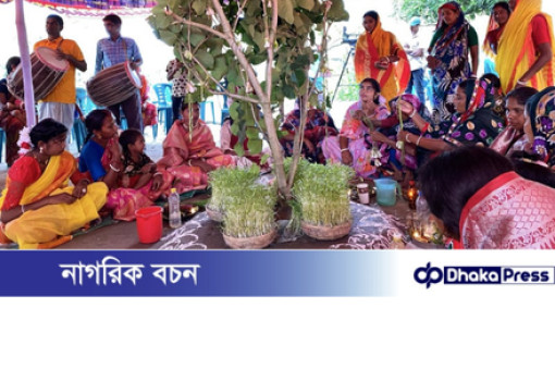 কারাম উৎসবে রঙের ছটা চলনবিলের আদিবাসী পল্লীতে