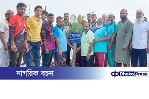ঈশ্বরদী জংশনে আবারও শোভা ছড়াবে কৃষ্ণচূড়া