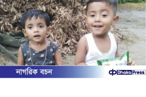 দেবিদ্বারে পুকুরের পানিতে ডুবে দুই শিশুর করুণ মৃত্যু