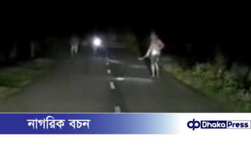 গোমস্তাপুরে সড়কে গাছ ফেলে ডাকাতির চেষ্টা, ভিডিও ভাইরাল