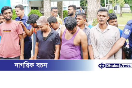 কুমিল্লায় আন্তঃজেলা কুখ্যাত ডাকাত দুলালসহ ১৩ জন সহযোগী দেশীয় অস্ত্রসহ গ্রেফতার