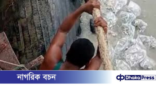 কর্ণফুলী নদীতে নৌকা উল্টে ১২ টন মাছ ভেসে গেছে