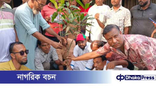 🌿 ফুলবাড়িতে পরিবেশ রক্ষায় ছাত্রদল নেতার বৃক্ষরোপণ কর্মসূচি