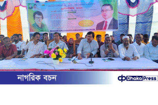 মাদারগঞ্জে যুবদল,স্বেচ্ছাসেবকদল ও ছাত্রদলের প্রতিনিধি সভা 