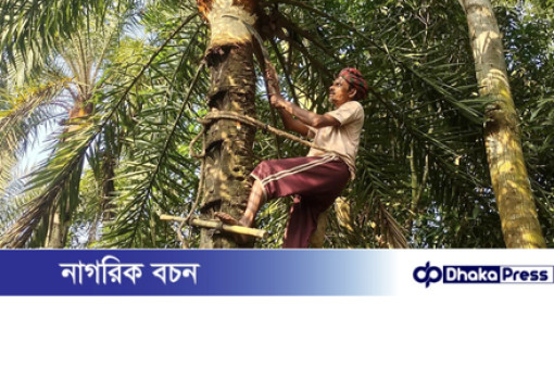 চারঘাটে খেজুর গাছিদের কর্মব্যস্ততায় শীতের আগমনী বার্তা চারঘাটে খেজুর গাছিদের কর্মব্যস্ততায় শীতের আগমনী বার্তা