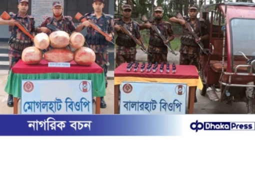 কুড়িগ্রামে বিজিবির অভিযানে ৩৬ কেজি গাঁজা ও ৪০ বোতল ইস্কাফ সিরাপ জব্দ