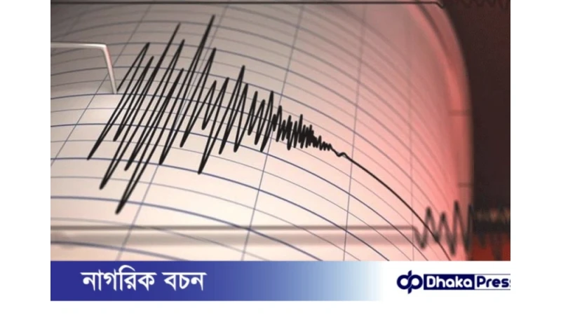 ভূমিকম্পে ক্ষতি কমানোর পাঠ: জাপান-ইন্দোনেশিয়া কী করেছে