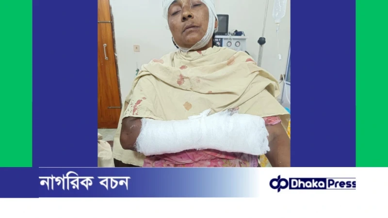 রৌমারীতে শাশুড়িকে কুপিয়ে গুরুতর জখম, জামাই পলাতক