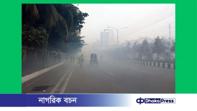 ঢাকায় বৃষ্টির মত ঝরছে কুয়াশা