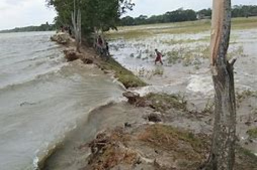 পাহাড়ি ঢল ও বৃষ্টির হাওরে ঢুকছে পানিে