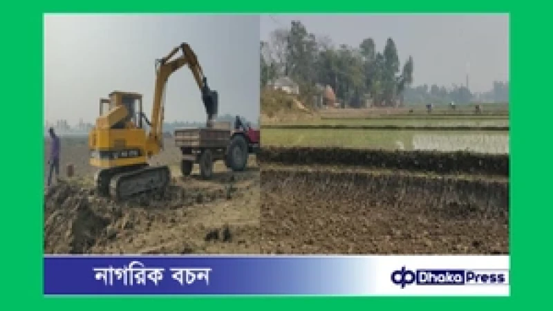 মাদারগঞ্জে তিন ফসলি জমির মাটি কেটে ইটভাটায় সরবরাহ, হুমকিতে কৃষি উৎপাদন