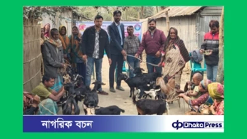 চর রাজিবপুরে হতদরিদ্র নারীদের মাঝে ছাগল বিতরণ