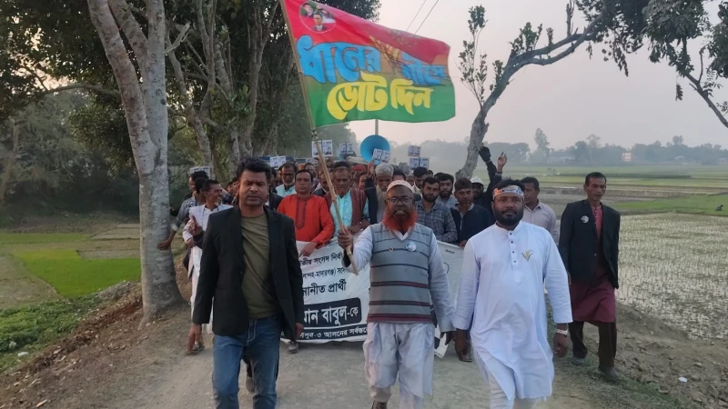 মাদারগঞ্জে রাশেদুল ইসলাম দুলালের নেতৃত্বে ধানের শীষের মিছিল