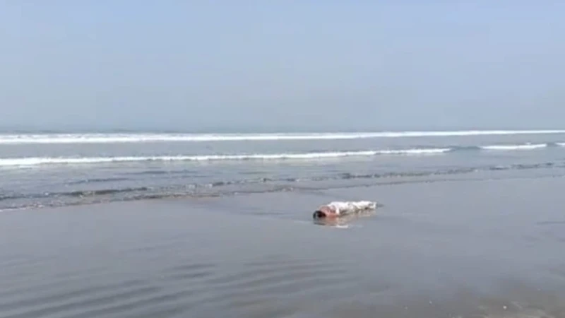 টেকনাফে সমুদ্র সৈকতে অজ্ঞাত নারীর লাশ উদ্ধার