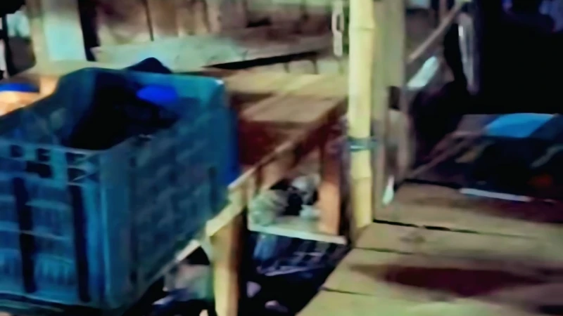 মুরাদনগরের কোম্পানীগঞ্জ বাজারের ফুটপাতে প্রশ্নবিদ্ধ ‘চকি ব্যবসা’