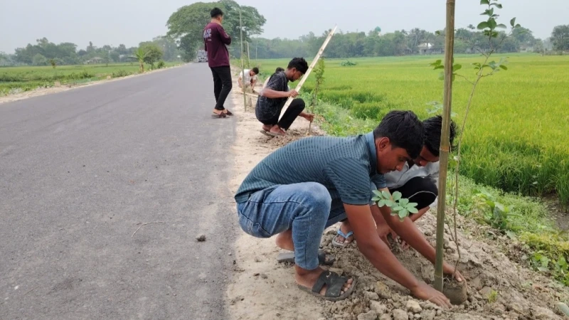 সড়কে তরুণদের সবুজ উদ্যোগ: মুরাদনগরে ২০০ বৃক্ষ রোপণ
