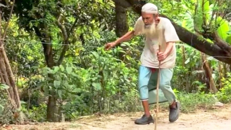দড়ি বেয়ে মসজিদে যাওয়া অন্ধ মুয়াজ্জিনের মৃত্যু সংবাদে শোকের মধ্যেই উলিপুরে ধানক্ষেতে ব্যতিক্রমী শিল্পকর্ম