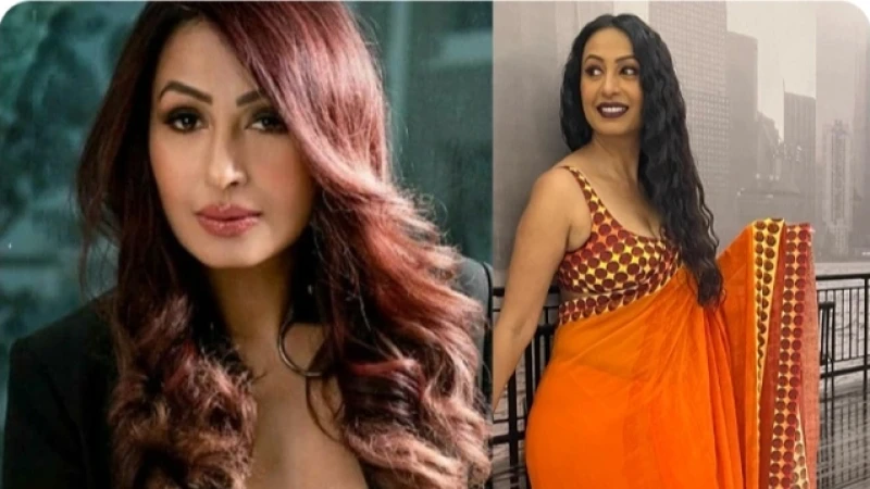 অর্থসংকটের কথা জানালেন শাহরুখের সহ-অভিনেত্রী কাশমীরা শাহ