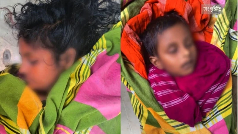 মুরাদনগরে মা-মেয়ের আত্মহত্যা: মানসিক ও আর্থিক সংকটের করুণ পরিণতি