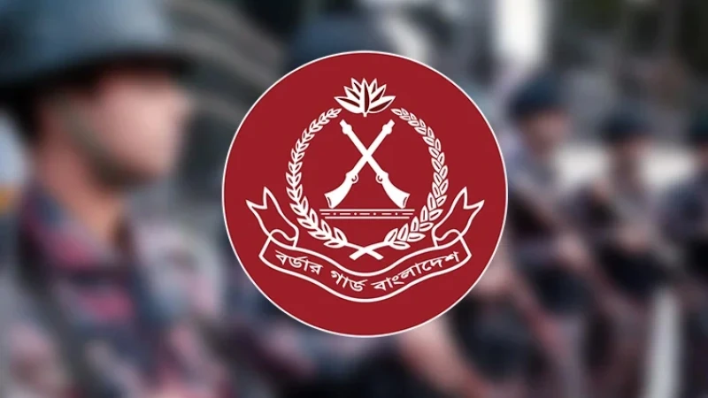 কক্সবাজার সীমান্তে পৃথক অভিযানে ১০ লাখ ৫৯ হাজার ৪০০ পিস ইয়াবা জব্দ