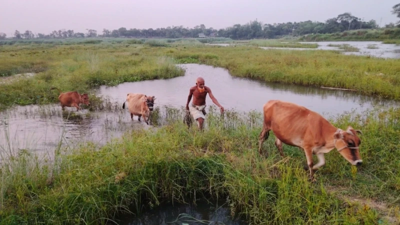 মুরাদনগরে দখলবন্দী খাল, পুনঃখননে কৃষিতে সম্ভাবনার নতুন দিগন্ত