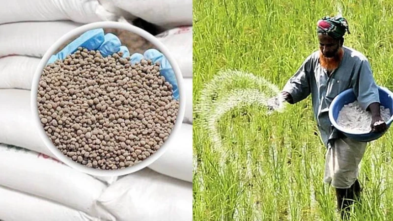 সার ডিলার নিয়োগে শুদ্ধি অভিযান, ‘রাজনৈতিক বলি’ নাকি ‘কৃষক সুরক্ষা’