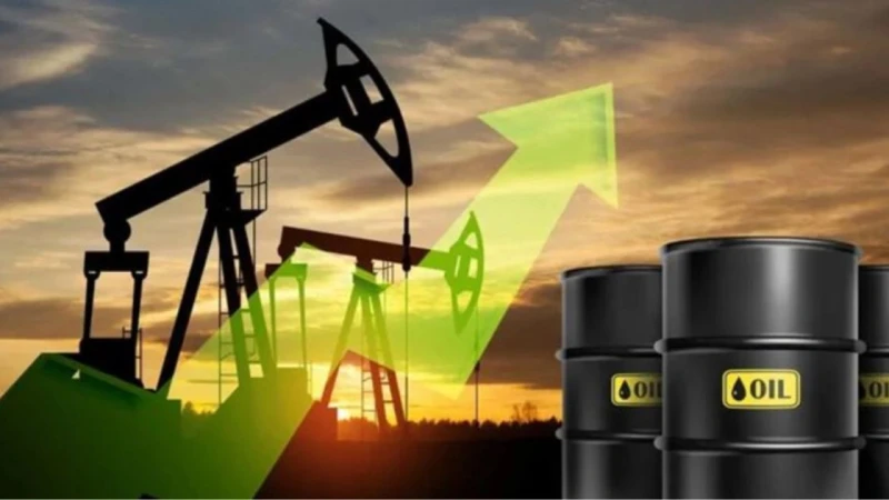 অবরোধ-উত্তেজনায় তেলের দাম সর্বোচ্চ, ব্যারেল ছাড়াল ১২০ ডলার