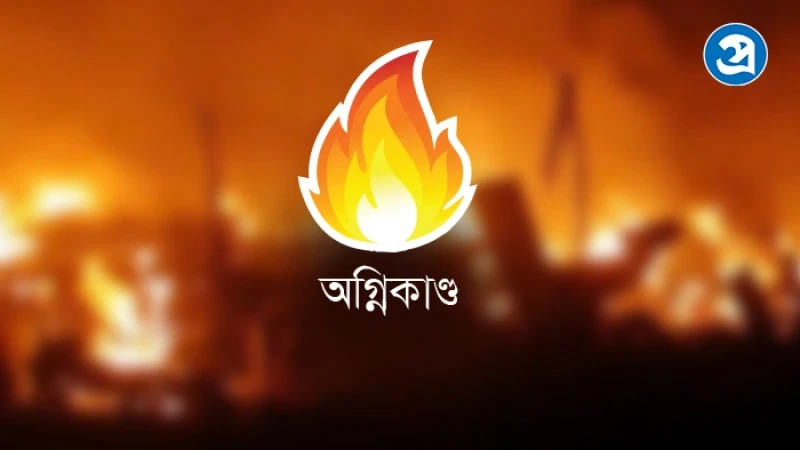 রাজধানীতে কালি তৈরির কারখানায় আগুন