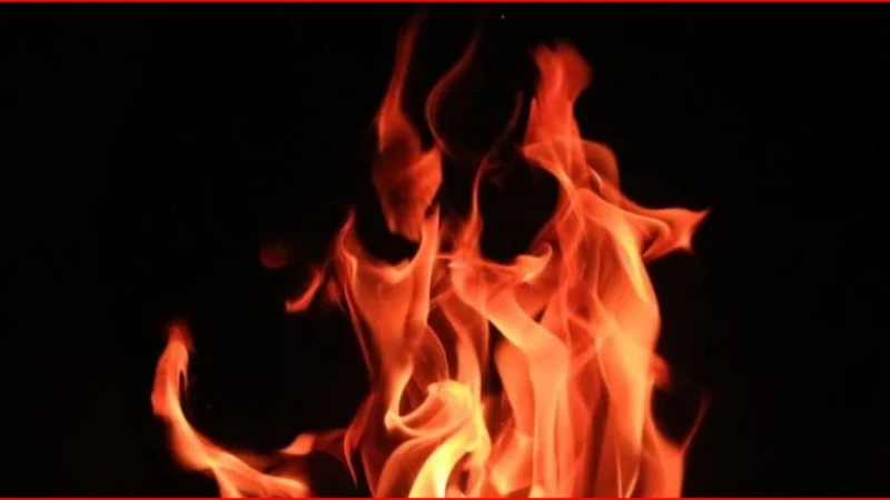 ডেমরার কারখানায় আগুন নিয়ন্ত্রণে, হতাহতের খবর নেই