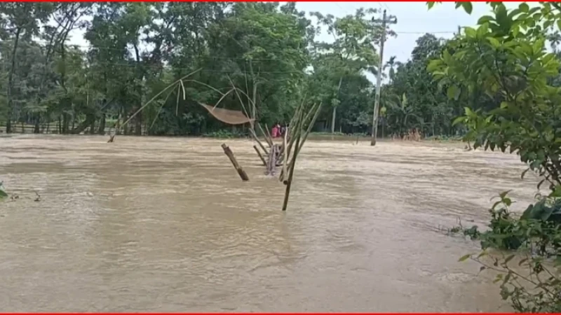 পাহাড়ি ঢলে হালুয়াঘাটের নিম্নাঞ্চল প্লাবিত, পানিবন্দি হাজারো মানুষ