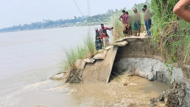 যমুনায় পানি বাড়তেই ভাঙছে চরাঞ্চল