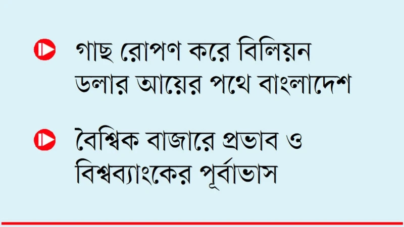 সবুজ এক অর্থনৈতিক বিপ্লবের হাতছানি