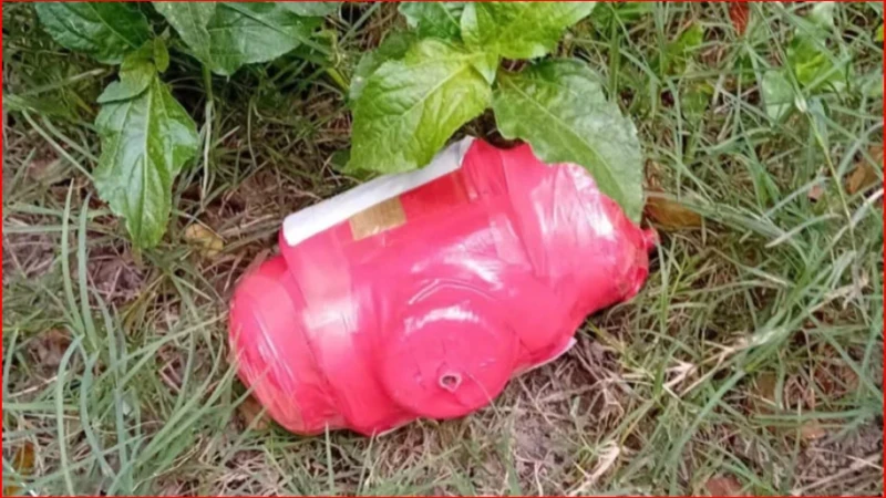 চুয়াডাঙ্গায় ‘জয় বাংলা’ লেখা বোমাসদৃশ বস্তু উদ্ধার