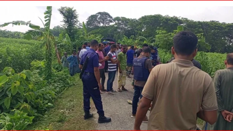 সালথায় হাত-পা কাটা অবস্থায় যুবকের মরদেহ উদ্ধার