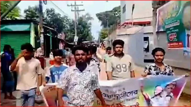 কার্যক্রম নিষিদ্ধ যুবলীগের ঝটিকা মিছিল, ভিডিও ঘিরে শ্রীপুরে আলোচনা