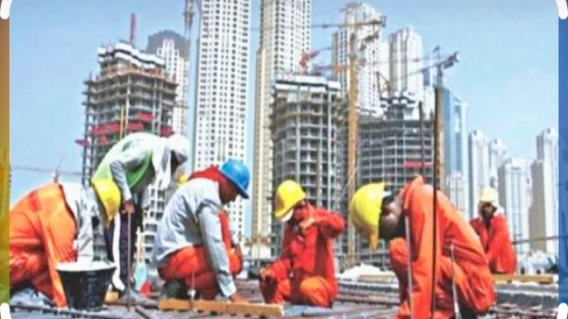 মালয়েশিয়ায় কর্মী পাঠানোর অনিয়মে ৪৯ রিক্রুটিং এজেন্সির লাইসেন্স বাতিল