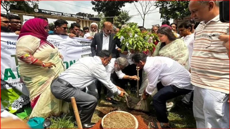 জলবায়ু পরিবর্তনে সবচেয়ে ঝুঁকিতে বাংলাদেশ, বৃক্ষরোপণের বিকল্প নেই: পরিবেশ প্রতিমন্ত্রী