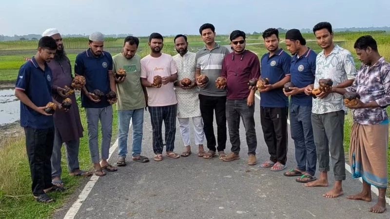 মাধবপুরের বুল্লা-ছাতিয়াইন সড়কে একদিনে রোপণ করা হলো এক হাজার তালের বীজ