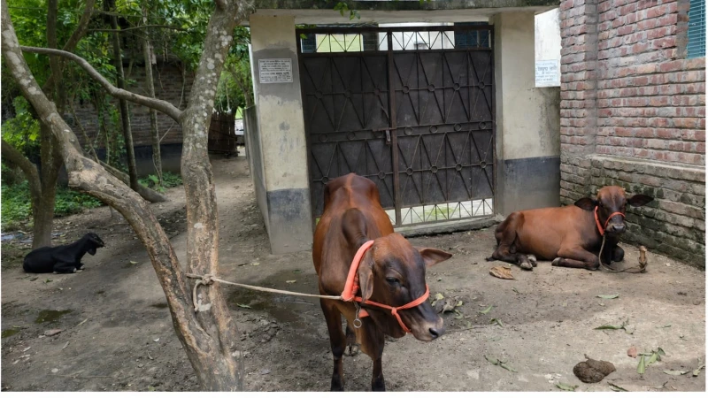চারঘাটে কমিউনিটি ক্লিনিক: কাগজে স্বাস্থ্যসেবা, বাস্তবে তালা