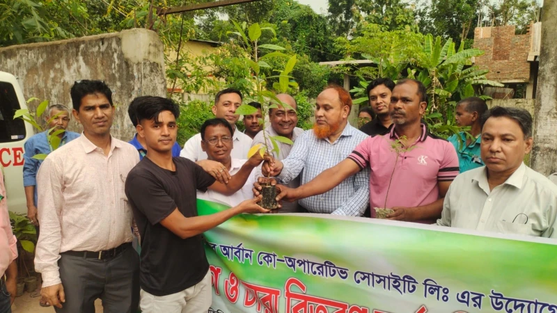 পটিয়ায় দি কেলিশহর আর্বান কো-অপারেটিভ সোসাইটির বৃক্ষরোপণ ও চারা বিতরণ কর্মসূচি উদ্বোধন