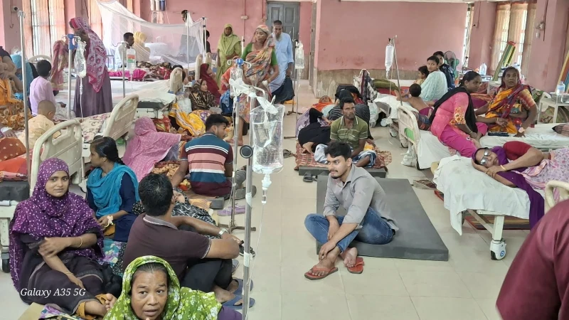 শার্শায় বাড়ছে ডেঙ্গু রোগী, চিকিৎসক সংকটে ব্যাহত চিকিৎসাসেবা