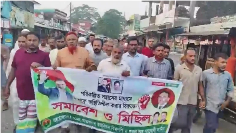 বিএনপির মিছিলে যুবলীগ-ছাত্রলীগের নামে স্লোগান, তদন্ত কমিটি