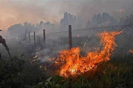 আলজেরিয়ায় দাবানল ছড়িয়ে পড়ে নিহত কমপক্ষে ৩৪ জন