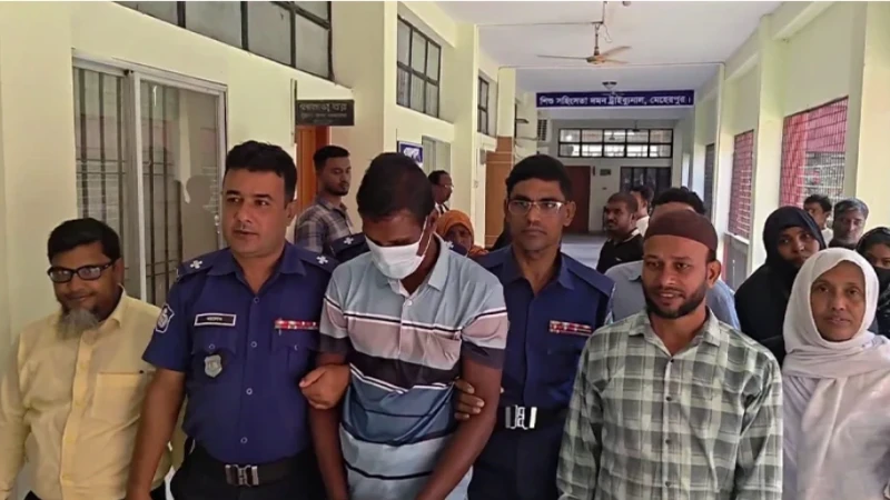 মেহেরপুরে স্কুলছাত্রী ধর্ষণ মামলায় আসামির যাবজ্জীবন কারাদণ্ড