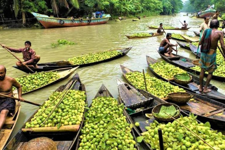 ভাসমান পেয়ারা বাজার