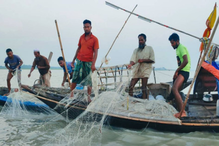 ইলিশ ধরায় আটক অর্ধশতাধিক জেলে