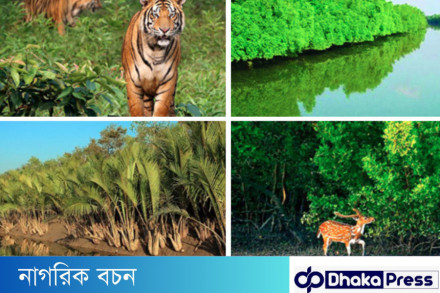 সুন্দরবন : প্রকৃতির এক অপার বিস্ময়