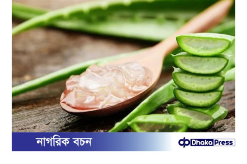 অ্যালোভেরার উপকারিতা ও সতর্কতা