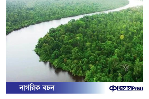 সুন্দরবন হলো বঙ্গোপসাগর উপকূলবর্তী অঞ্চলে অবস্থিত একটি প্রশস্ত বনভূমি