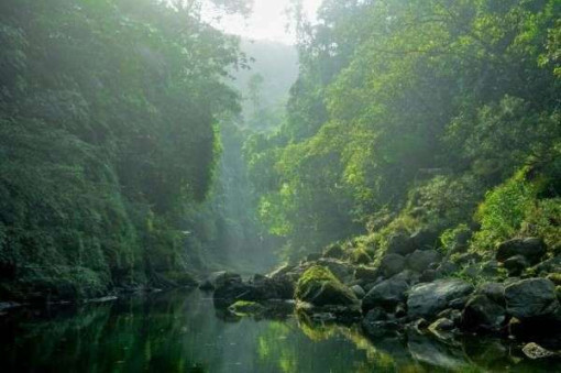 বান্দরবানের সেরা ১০ দর্শনীয় স্থান!